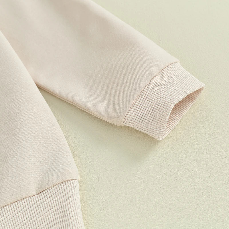 2023-08-07 18M-6T Toddler Baby Boys Fall Sweatshirt Fuzzy Letter Embroidery Long Sleeve round Neck Pullover Loose Top